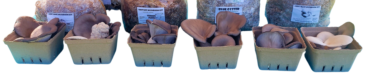 20240621 172013 edited